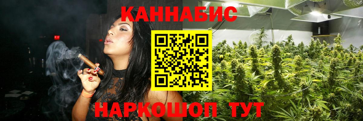Конопля марихуана Киселёвск